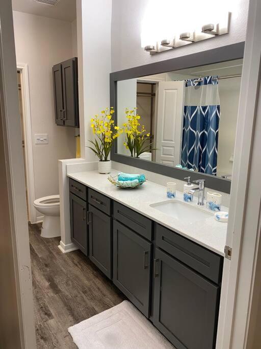 Your Warm Spacious Unit With Pool - Medical Center Houston Esterno foto